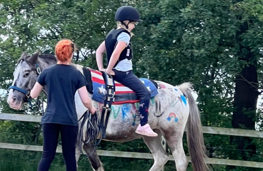 Priv&eacute; paardrijles Balen, Antwerpen